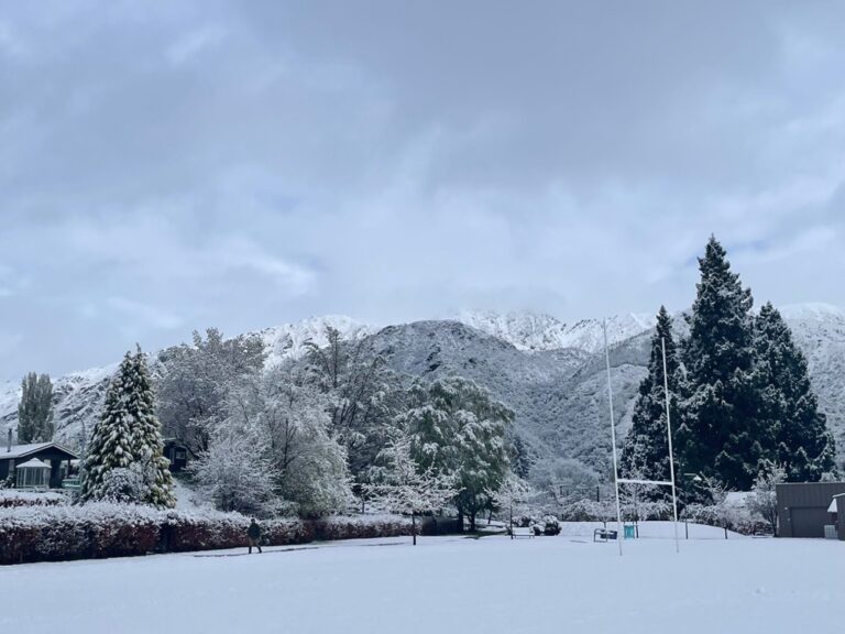 536bb8ea-de40-4600-aa16-8e6bf50c9cab